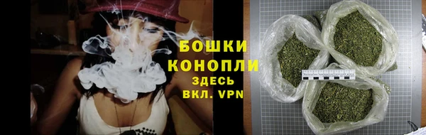 PSILOCYBIN Кинешма
