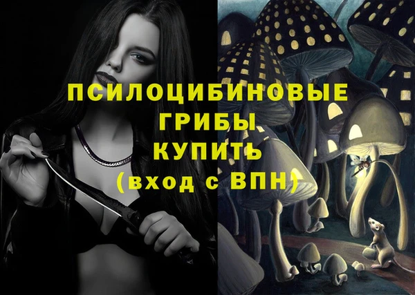 соль ск Киреевск