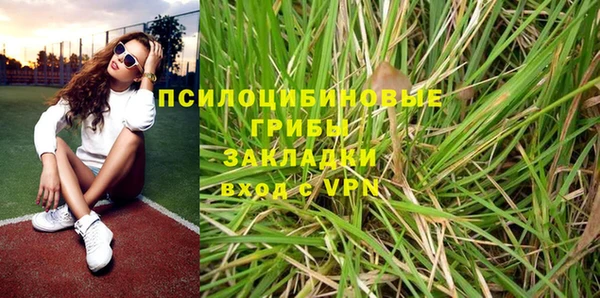 PSILOCYBIN Кинешма